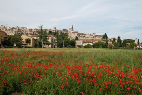 Spello